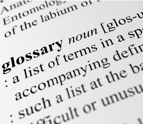 Glossary of terms